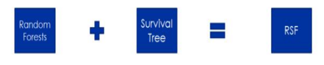Figure 4.5: Random Survival Tree